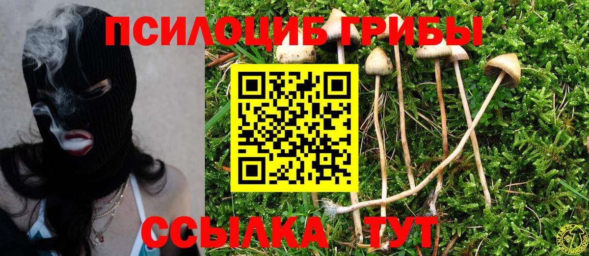 Галлюциногенные грибы мицелий Советская Гавань